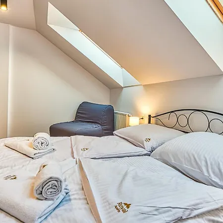Apartment Z Sauna Centrum - Wyszynskiego 9 By Royal Aparts *